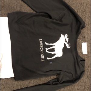 Abercrombie and Fitch Sweatshirt
